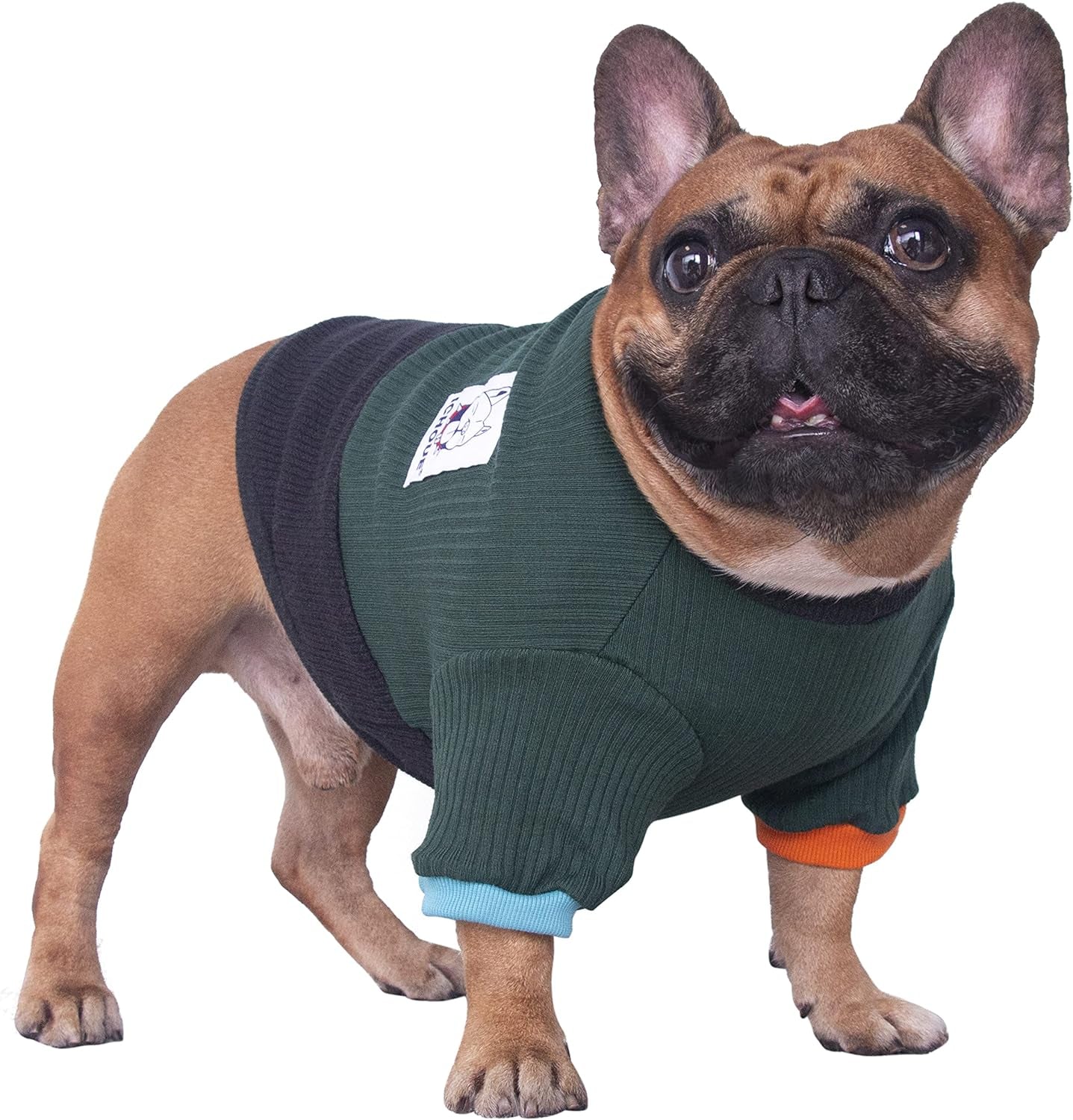Pet Dog Crewneck Sweater Color Block Pullover Winter Warm Clothes for French Bulldog Frenchie Pug Puppy - Green and Black/Small