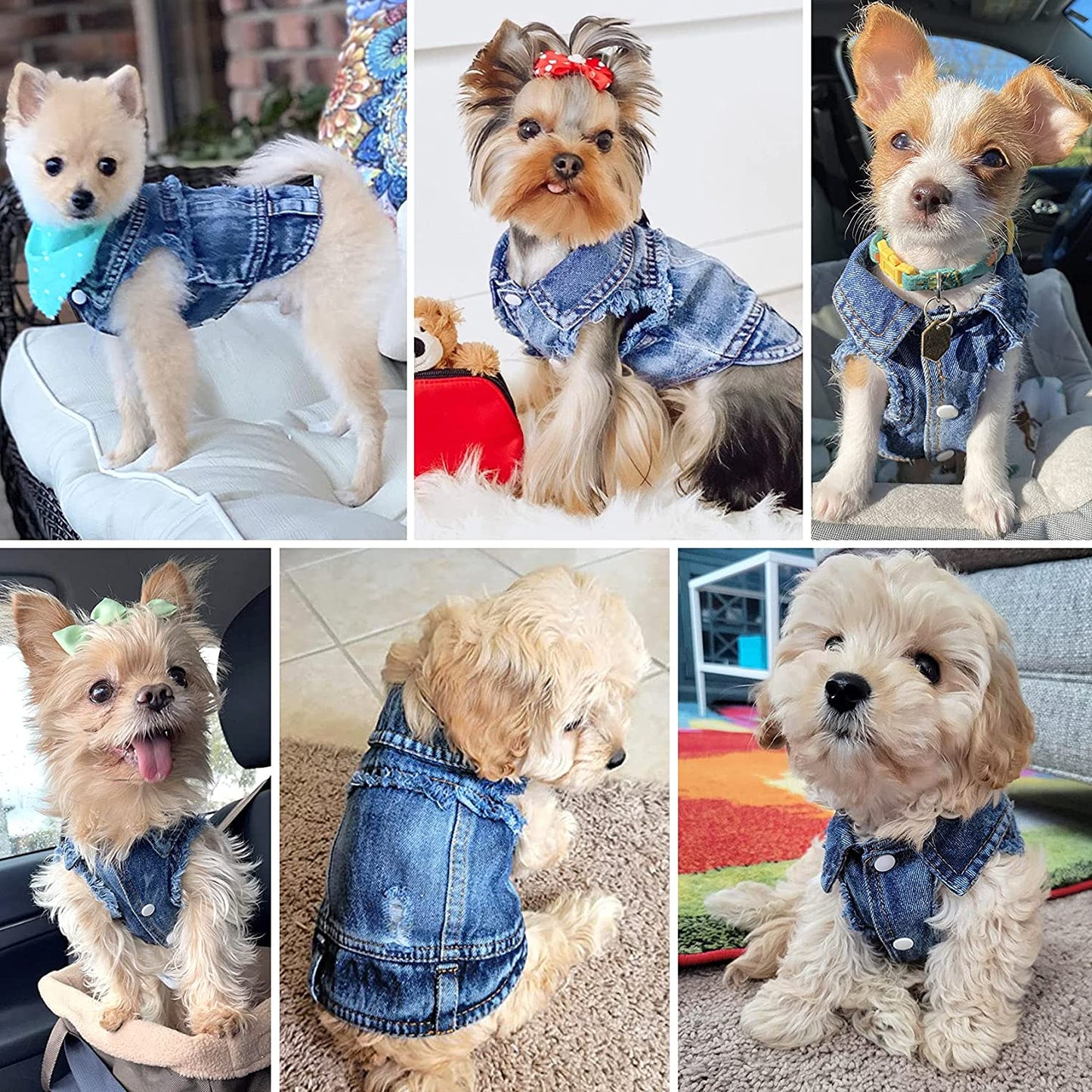 Dog Jean Jacket, Blue Denim Lapel Vest Coat T-Shirt Costume Girl Boy Puppy Clothes, Comfort and Cool Apparel for Small Medium Dogs Cats
