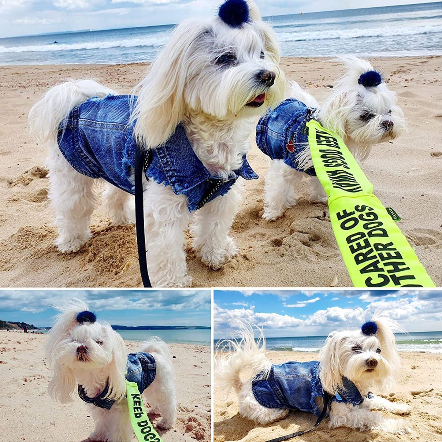 Dog Jean Jacket, Blue Denim Lapel Vest Coat T-Shirt Costume Girl Boy Puppy Clothes, Comfort and Cool Apparel for Small Medium Dogs Cats