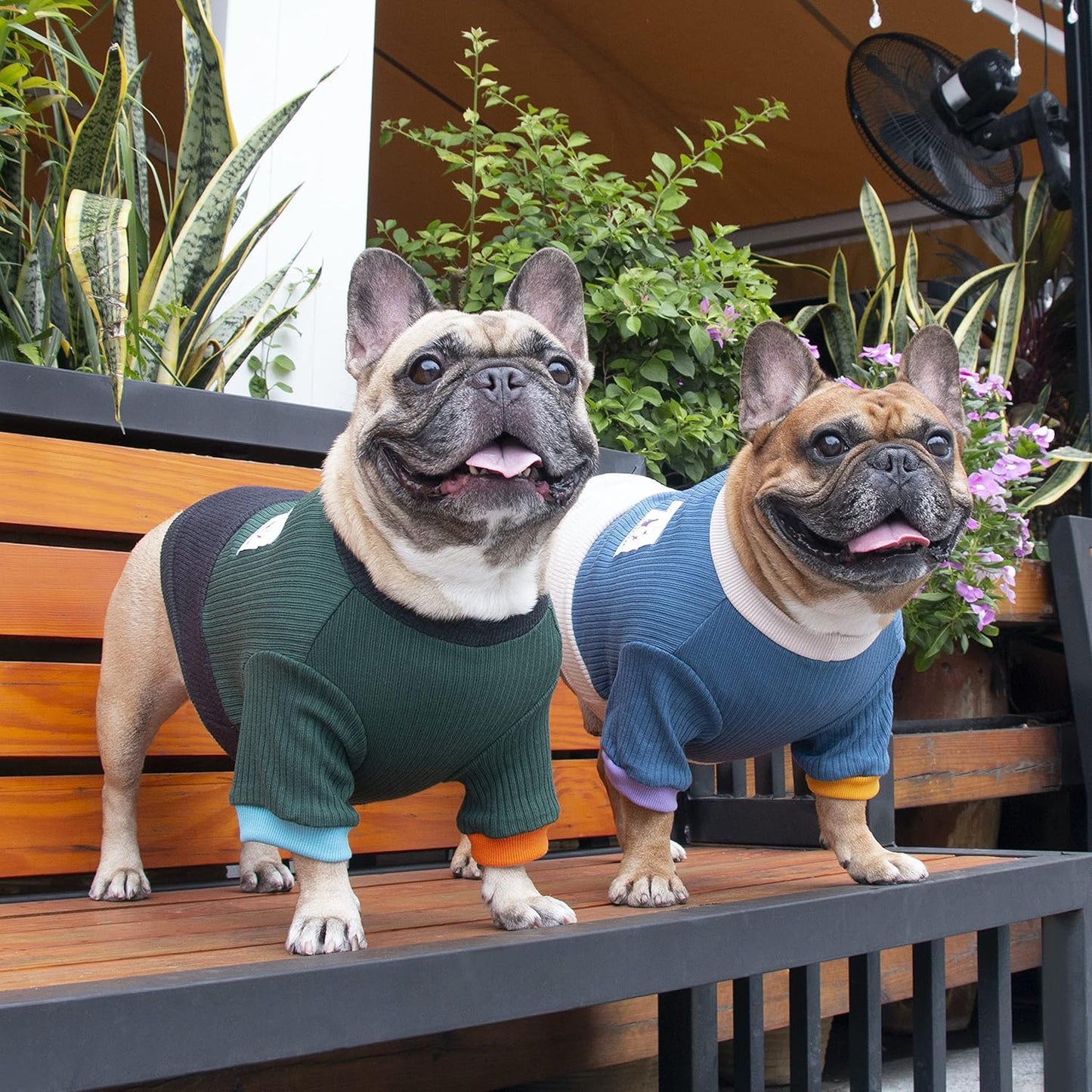 Pet Dog Crewneck Sweater Color Block Pullover Winter Warm Clothes for French Bulldog Frenchie Pug Puppy - Green and Black/Small