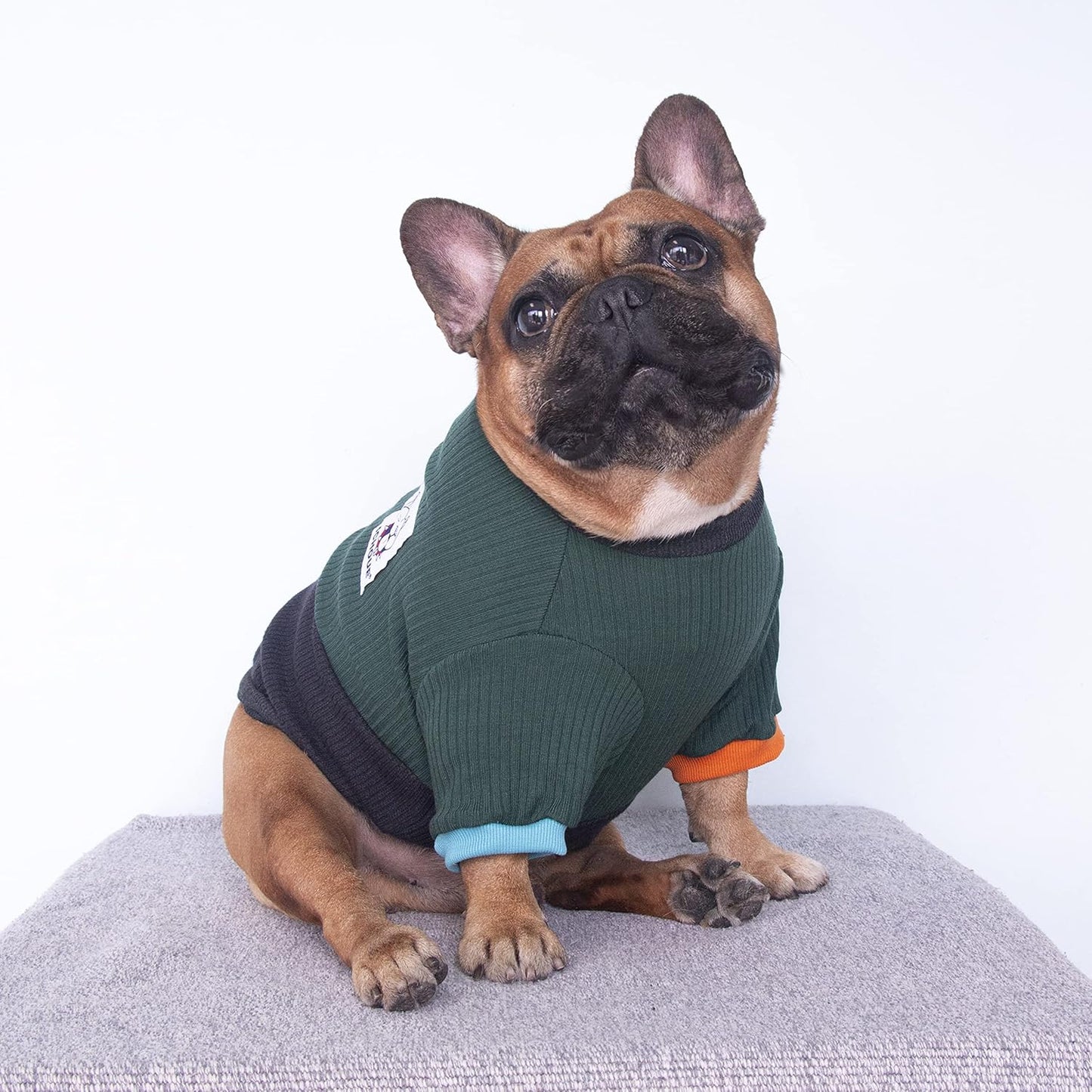 Pet Dog Crewneck Sweater Color Block Pullover Winter Warm Clothes for French Bulldog Frenchie Pug Puppy - Green and Black/Small