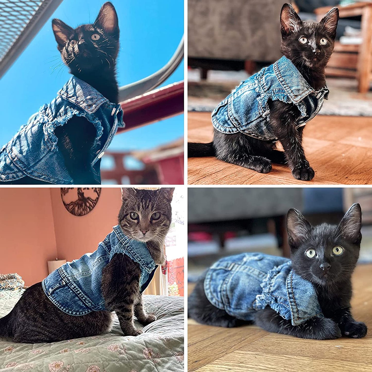 Dog Jean Jacket, Blue Denim Lapel Vest Coat T-Shirt Costume Girl Boy Puppy Clothes, Comfort and Cool Apparel for Small Medium Dogs Cats