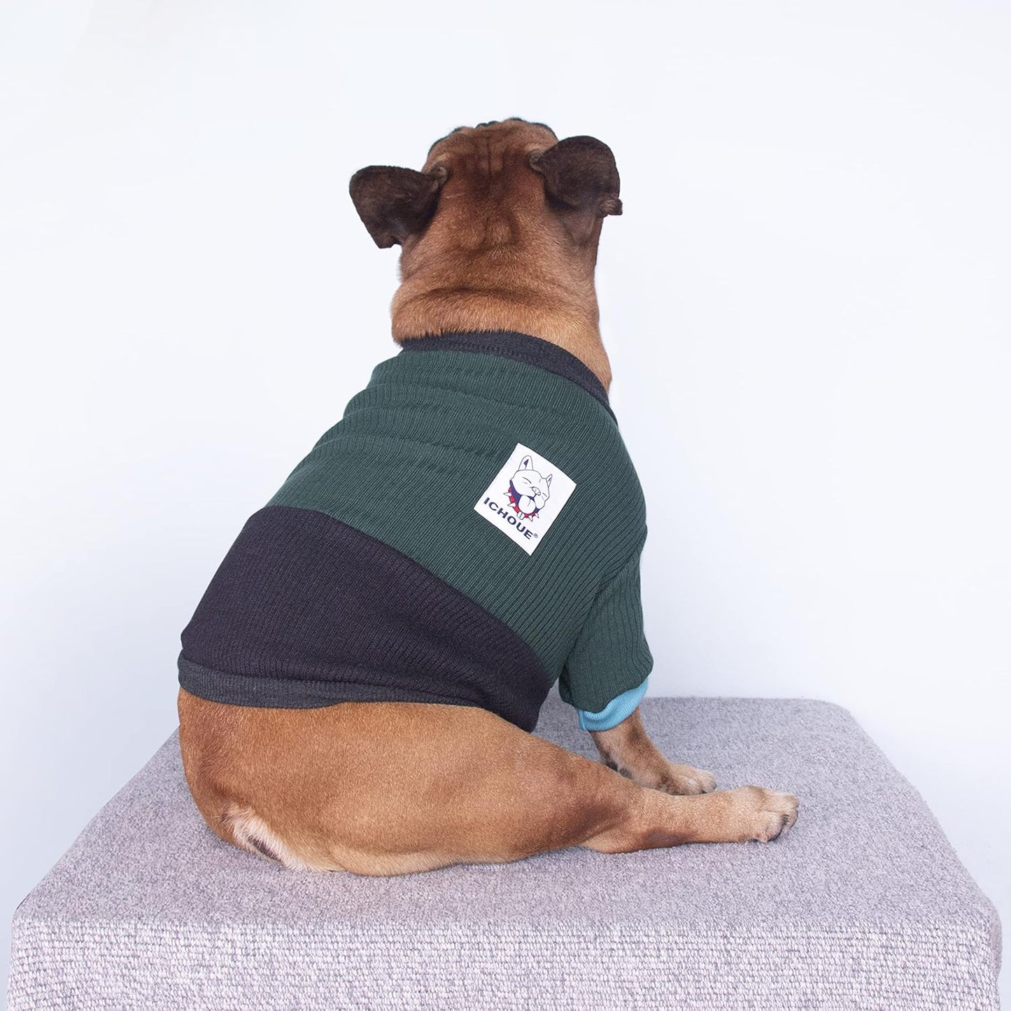 Pet Dog Crewneck Sweater Color Block Pullover Winter Warm Clothes for French Bulldog Frenchie Pug Puppy - Green and Black/Small