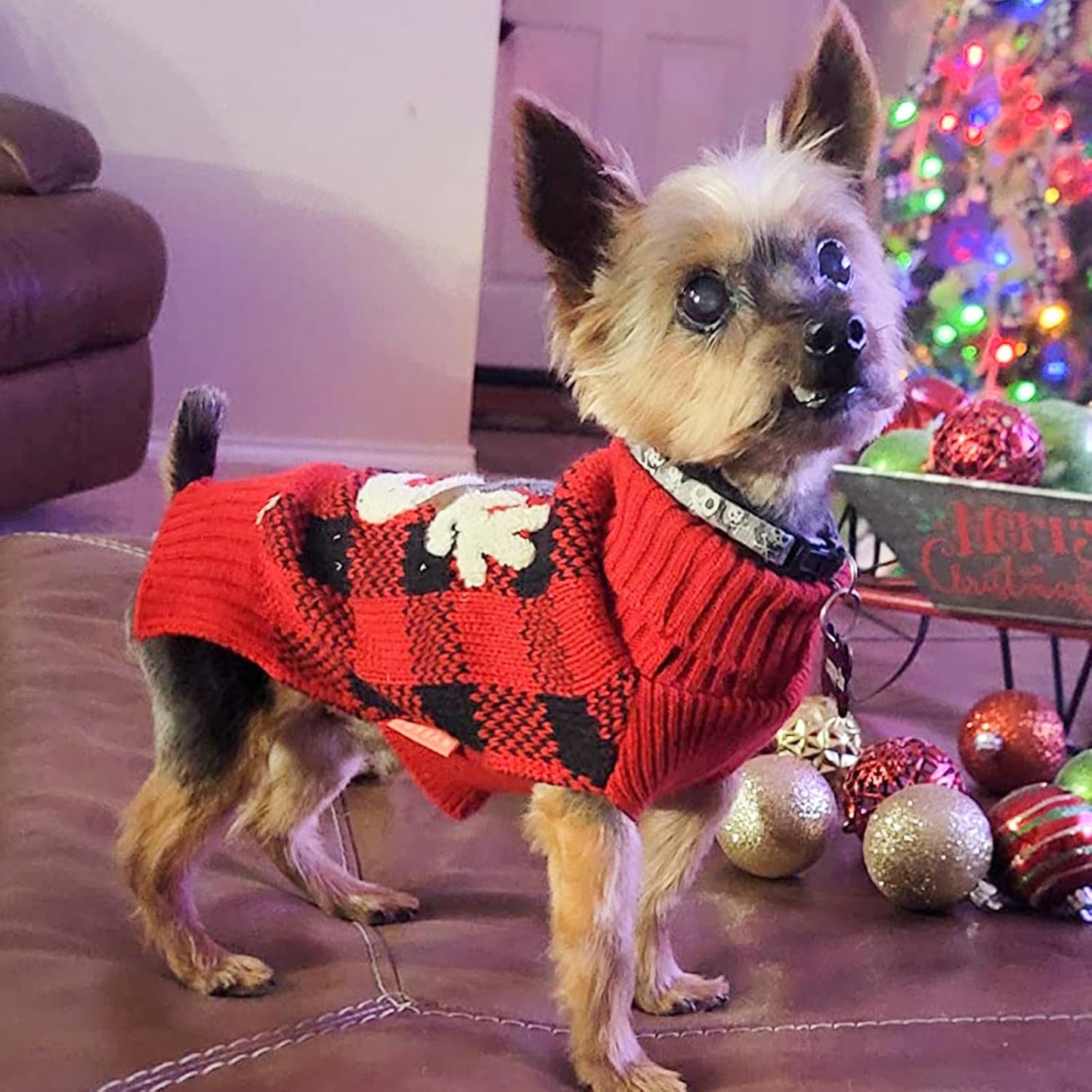 Dog Christmas Sweater Reindeer Small Dogs Christmas Sweater Red Buffalo Check with Leash Hole Pet Sweater Dog Christmas Outfit Puppy Sweater,S