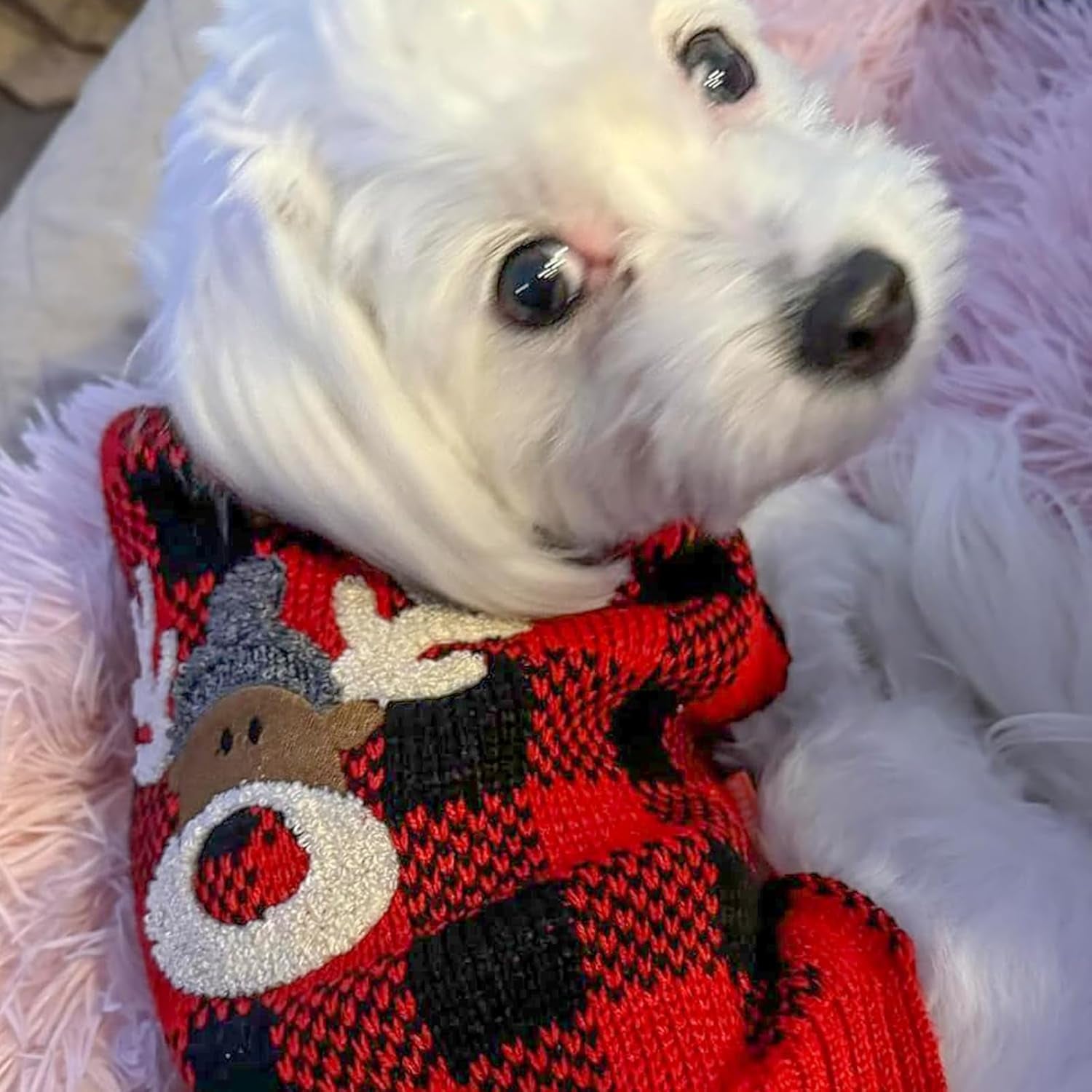 Dog Christmas Sweater Reindeer Small Dogs Christmas Sweater Red Buffalo Check with Leash Hole Pet Sweater Dog Christmas Outfit Puppy Sweater,S
